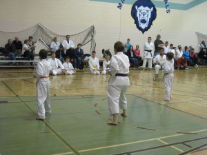 Mardell, Logan and Cole compete in team kata